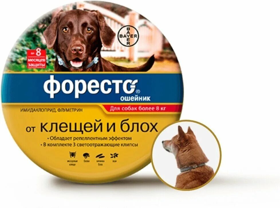 Фореста от клеща. Ошейник от блох и клещей для кошек форесто. Ошейник для собак меньше 8 кг bayer форесто 38 см. Форесто для собак до 8 кг. Ошейник foresto для собак более 8кг.