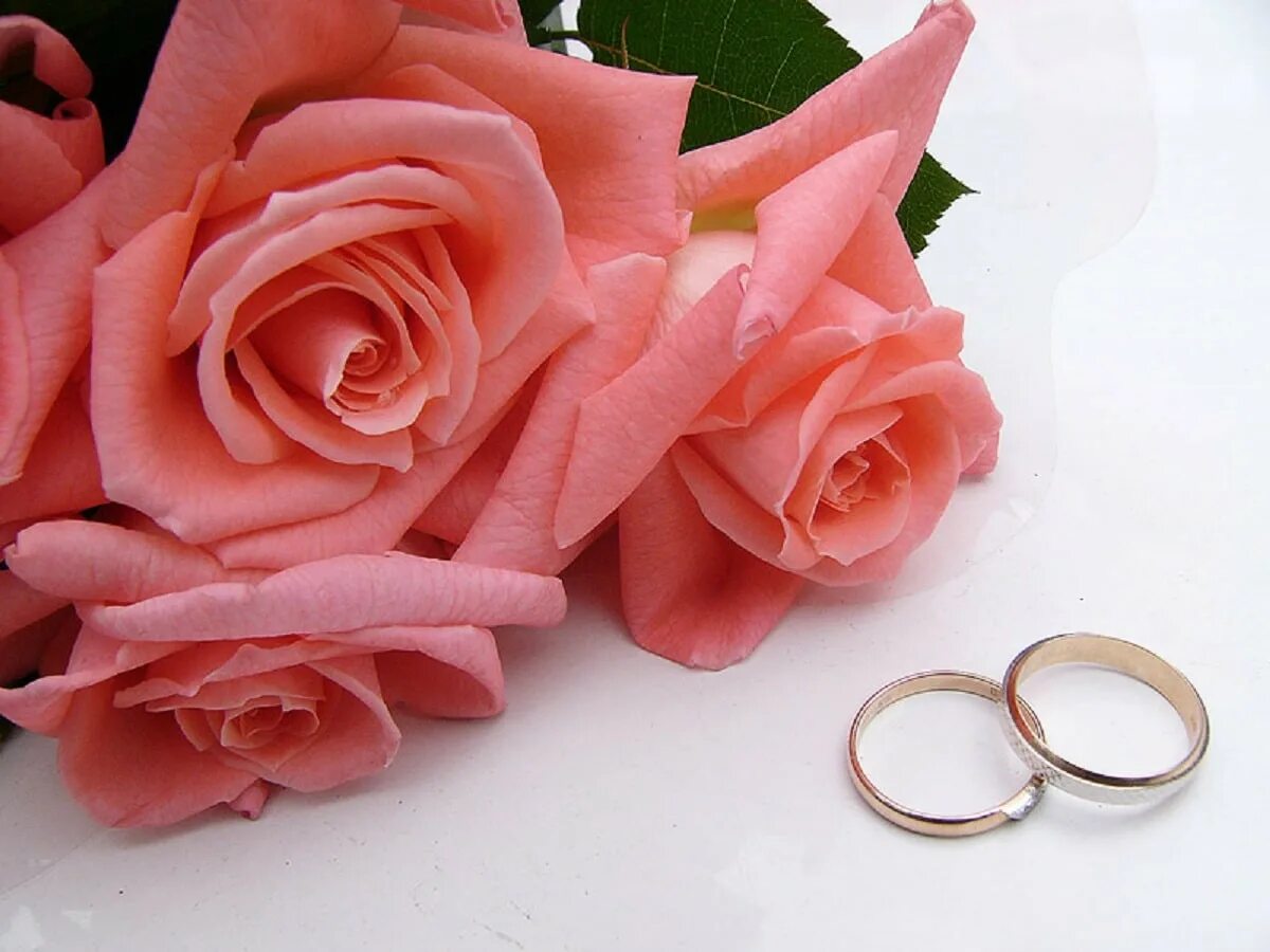 Поздравления 37 лет совместной. Свадьба. Кольцо цветы. Кольцо с розовым цветком. С годовщиной свадьбы цветы.
