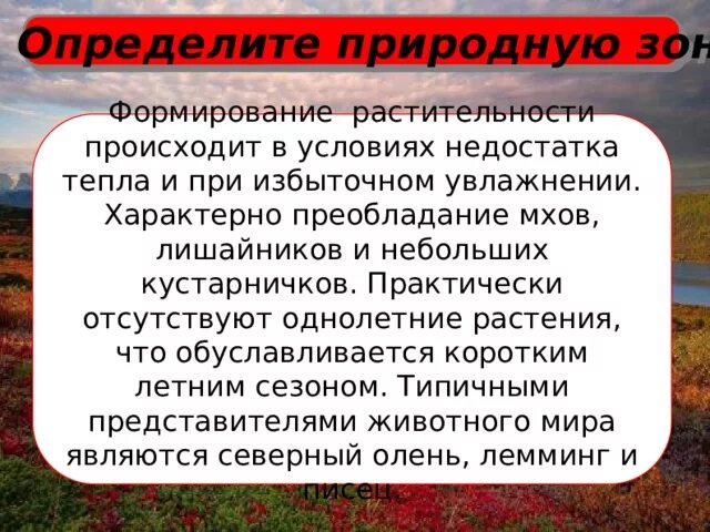 Практически отсутствуют. Формирование растительности происходит в условиях. Определите природную зону формирование растительности. При избыточном увлажнении растительный мир. Небольшое определение природных условий.