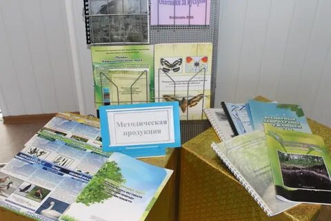 Методическая продукция