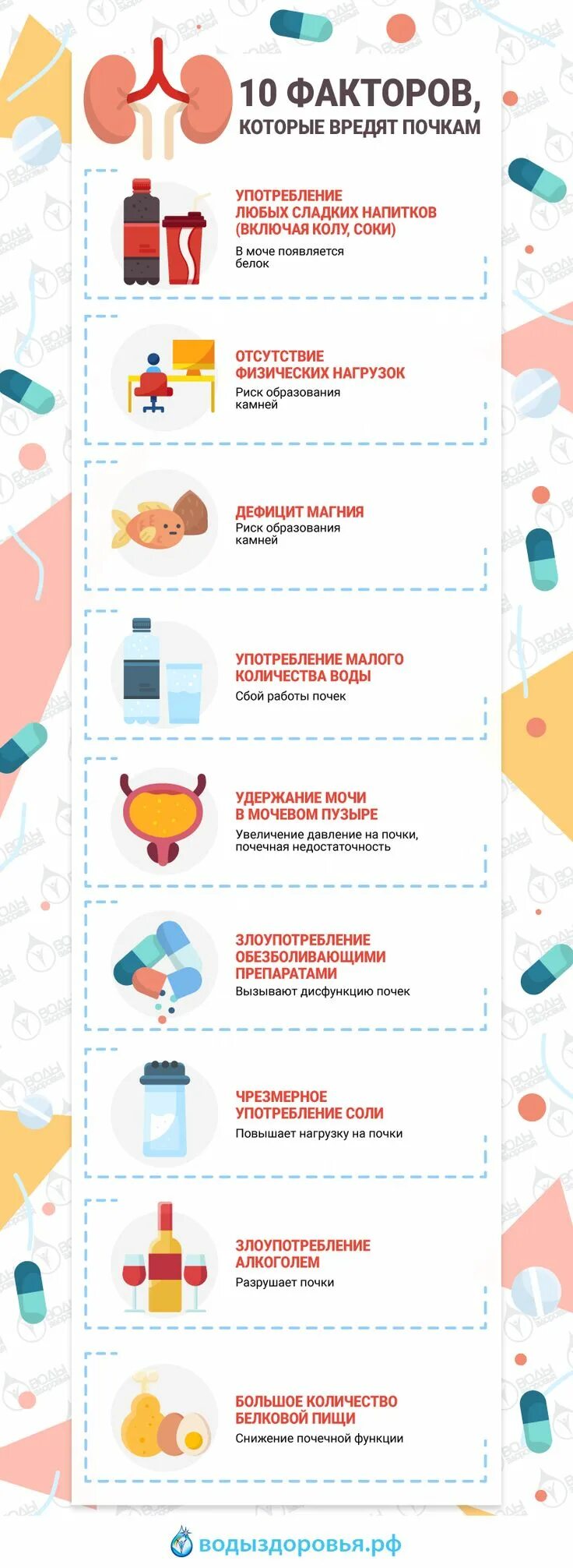 Полезная пища для почек. Продукты полезные для почек. Что вредит почкам. Что вредит почкам. Диета полезная для почек.
