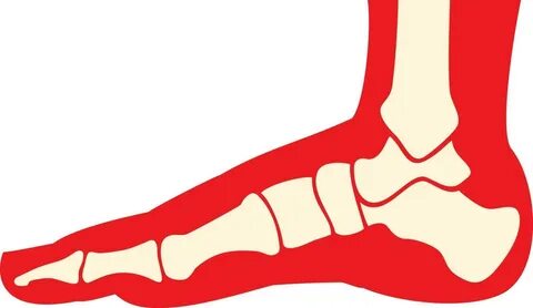 Foot 3 формы