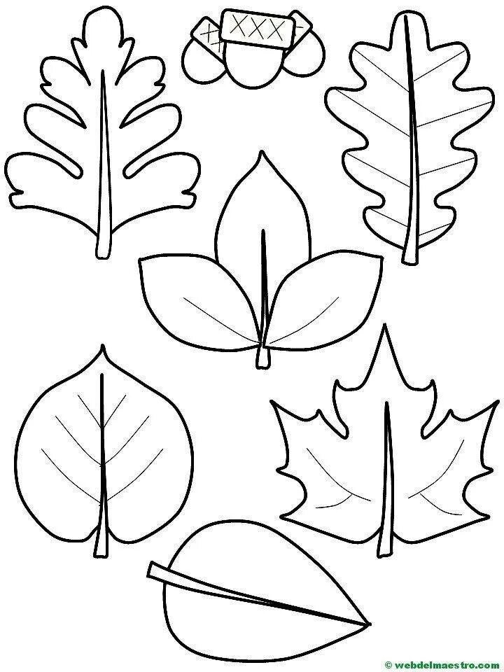 Осенние листья для вырезания. Аппликация с листьями. Лекало осенних листьев. Трафареты листиков осенних. Лекало листочков.