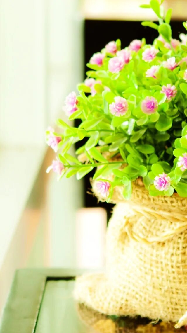 Tiny flower. Tiny flower