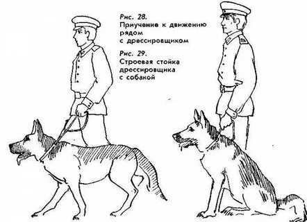 Раскраска пограничник с собакой