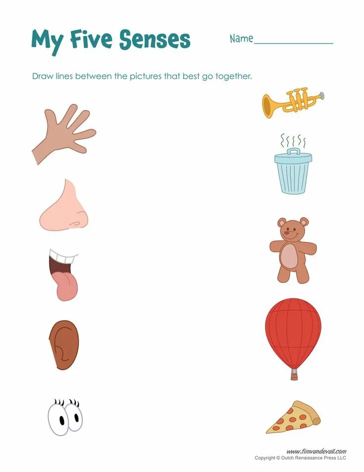 Kid sense. 5 senses for kids. Kid sense. Senses worksheet for kids. Senses worksheet for kids.
