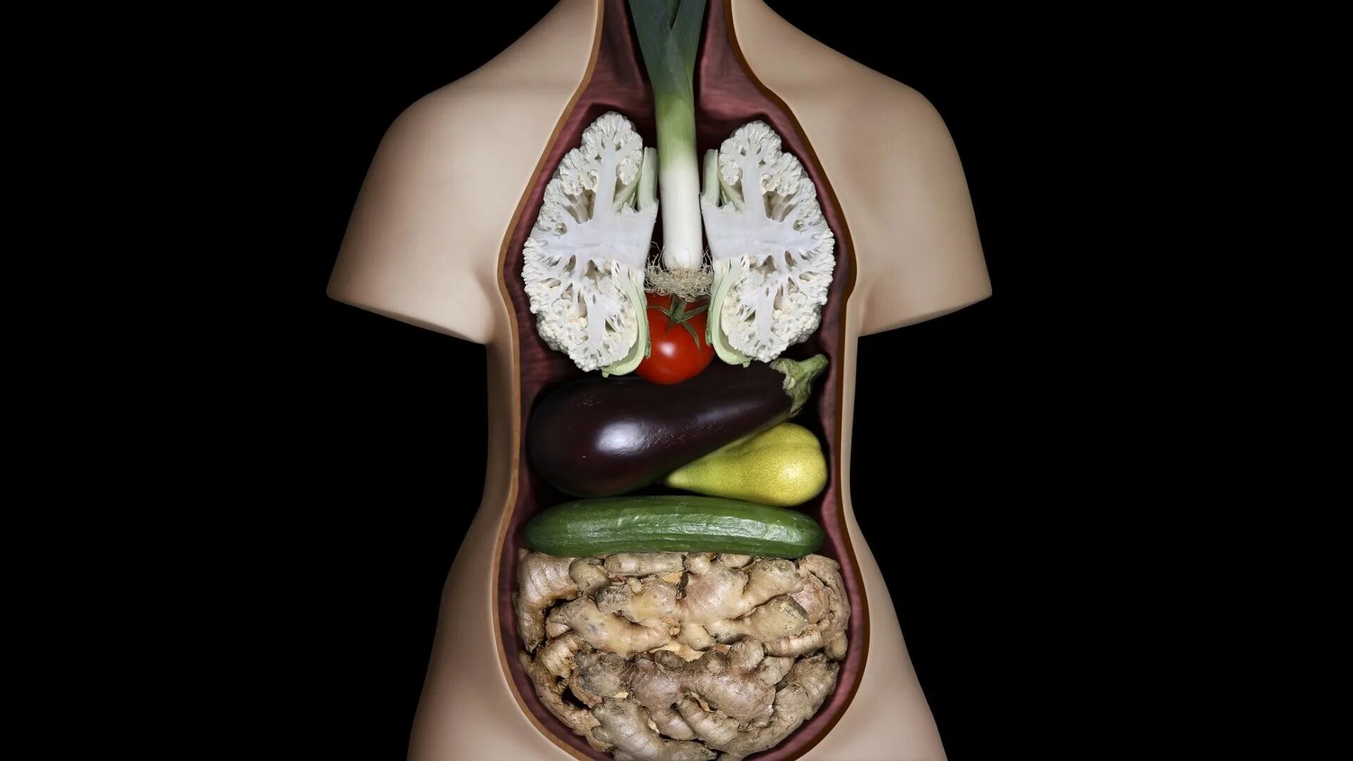Еда для организма человека. Здоровые внутренние органы. Здоровое пищеварение. Питание организмов.