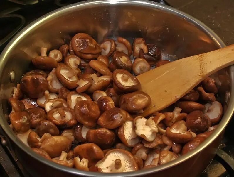 Шиитаке грибы Императорский шампиньон. Шитаки гриб приготовленный. Грибы шиитаке жареные. Грибы шиитаке приготовленные.