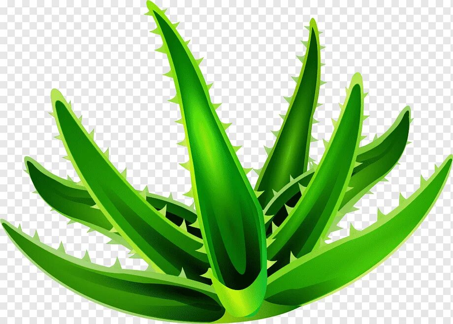 Trava алоэ мята. Алоэ Aloe вектор. Игра алоэ