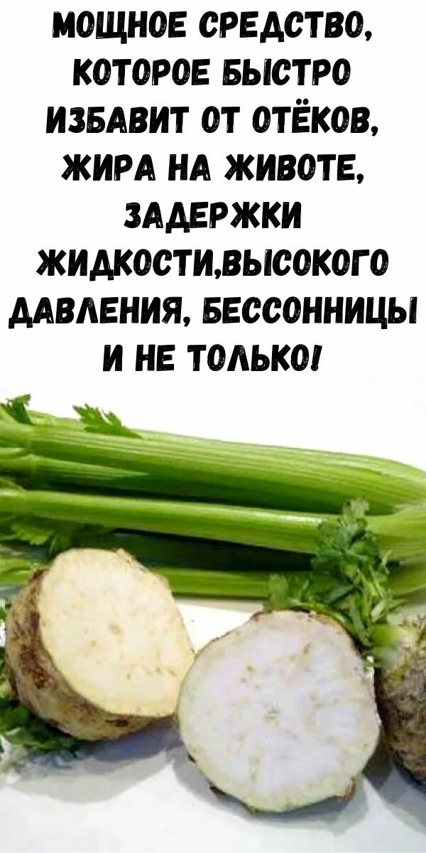 Можно ли сельдерей при язве. Сельдерей. разновидности сельдерея. клубень сельдерея. сельдерей кочанный.