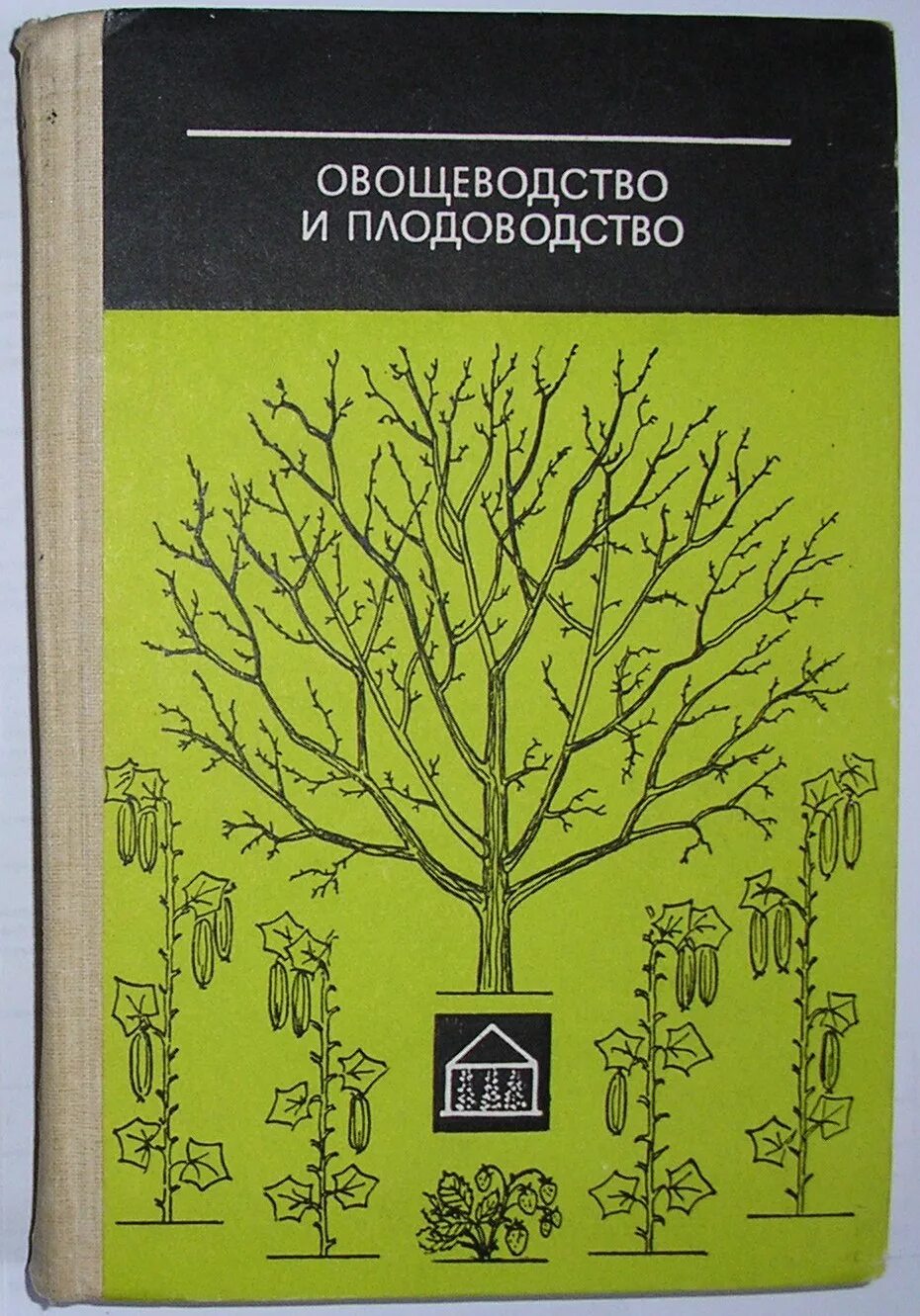 Овощеводство учебник. Овощеводство книга. Плодоводство и овощеводство учебник. Овощеводство учебник для вузов. Книги по овощеводству и садоводству.