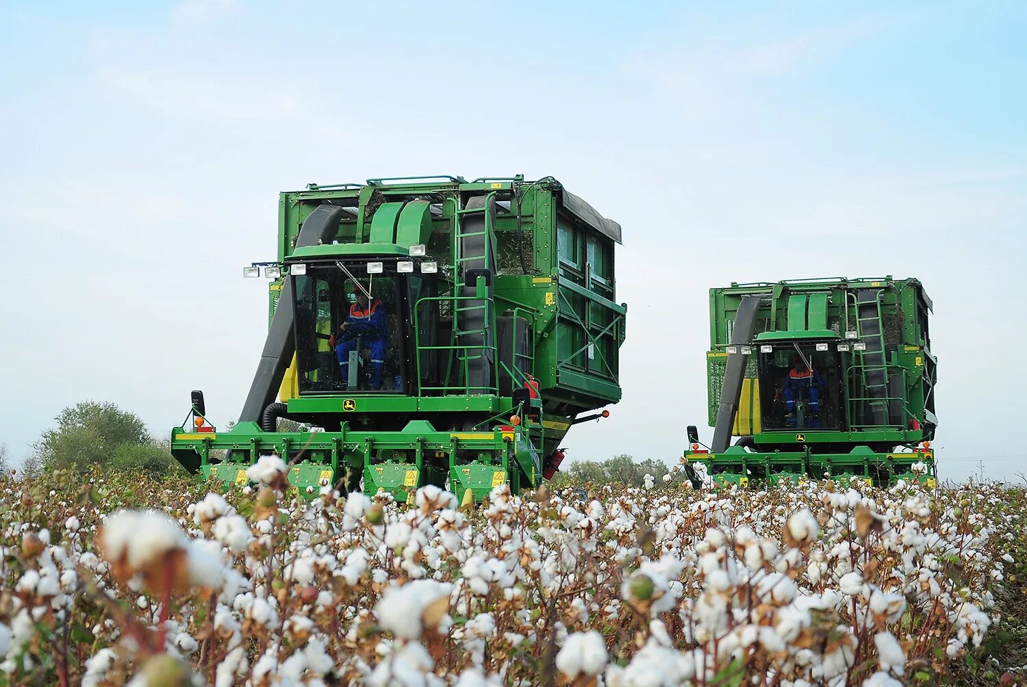 Хлопкоуборочный комбайн John Deere 7760. Хлопкоуборочный комбайн John Deere 9970. Сельскохозяйство Туркмении. Узбекистан сельское хозяйство хлопководства. Сельскохозяйственная хлопок