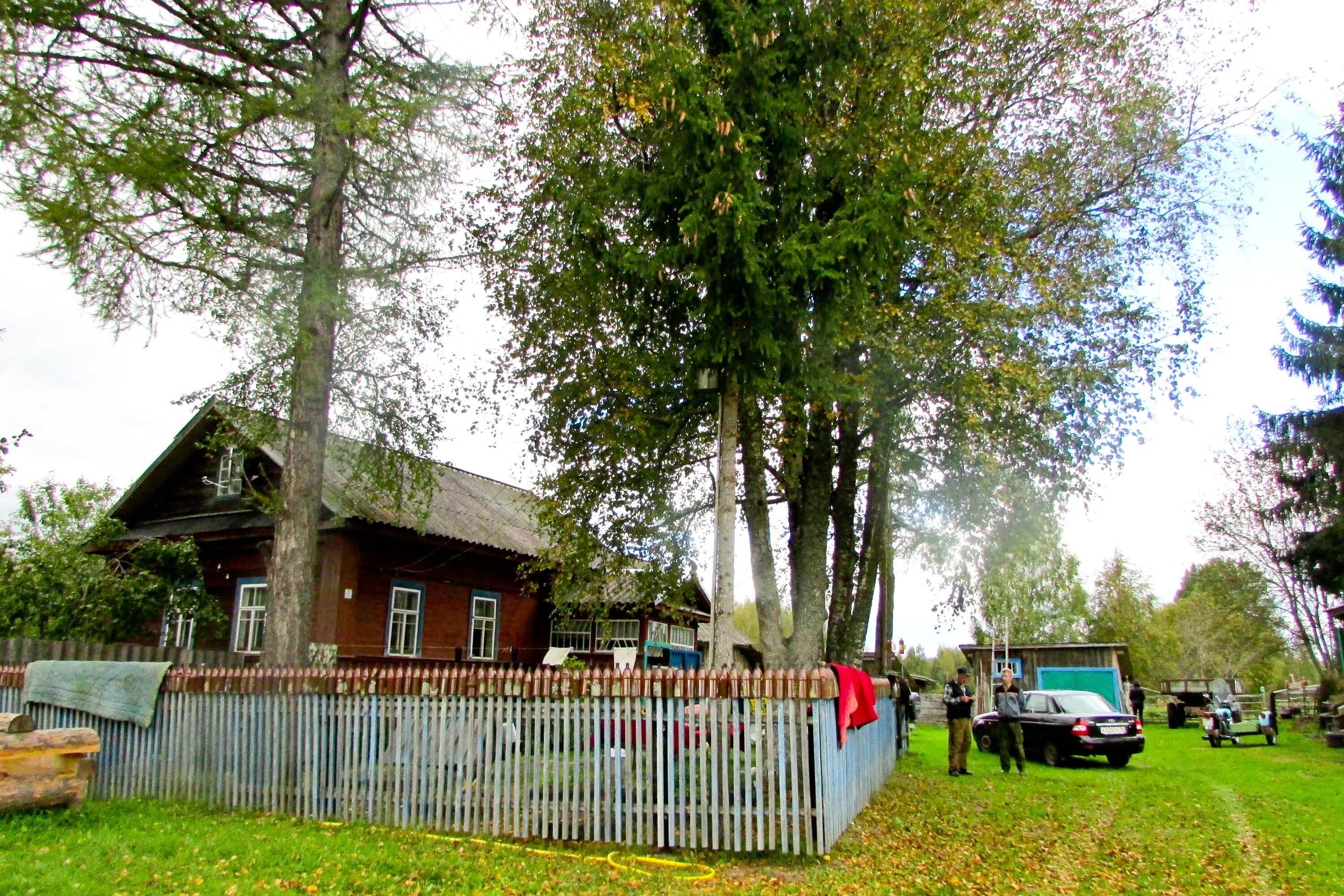 Поселок хвойная новгородская. Сельское поселение Мошенского района Новгородской области. Хвойная Новгородская область. Деревня Хвойная Новгородская область. Деревня Лесная Новгородская область.