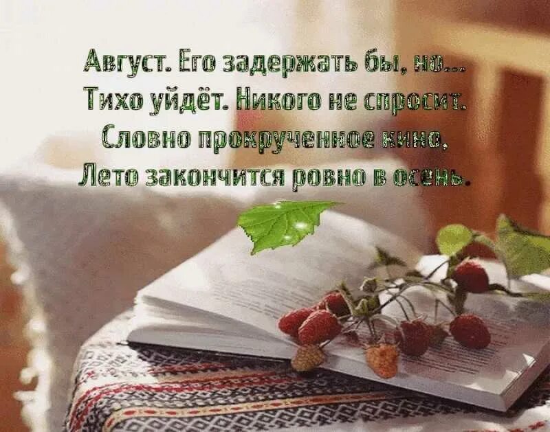 Цитата уходящего лета