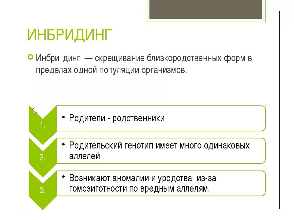 Родственные браки последствия. Родственные браки генетика последствия. Биология:родственные браки это. Близкородственные браки последствия. Почему близкородственные браки