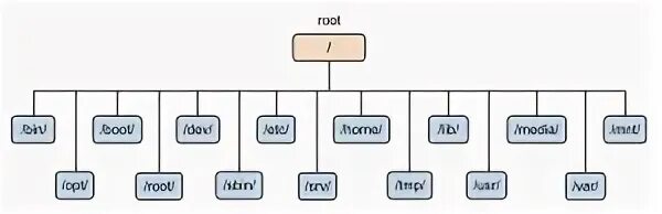 Корневая файловая система linux. Иерархия файловой системы linux. структура файловой системы линукс.