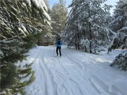 Березники лыжные