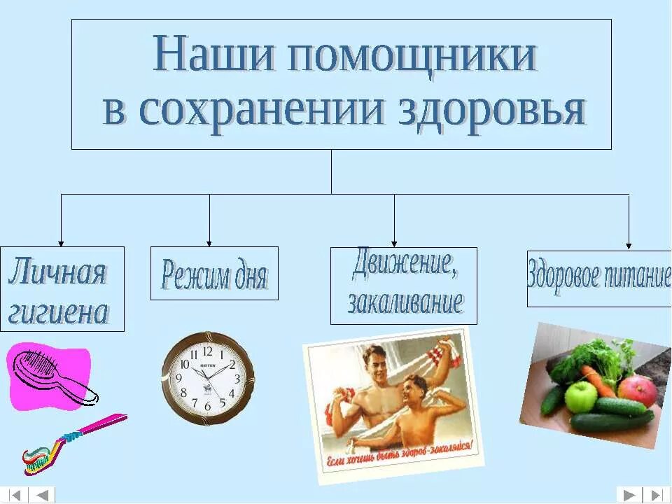 Понятие личной гигиены. Основные понятия гигиены питания. Закаливание физическими упражнениями. Памятка гигиена питания. Основные принципы гигиены питания.