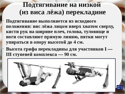 4 6 раз 3 лежа