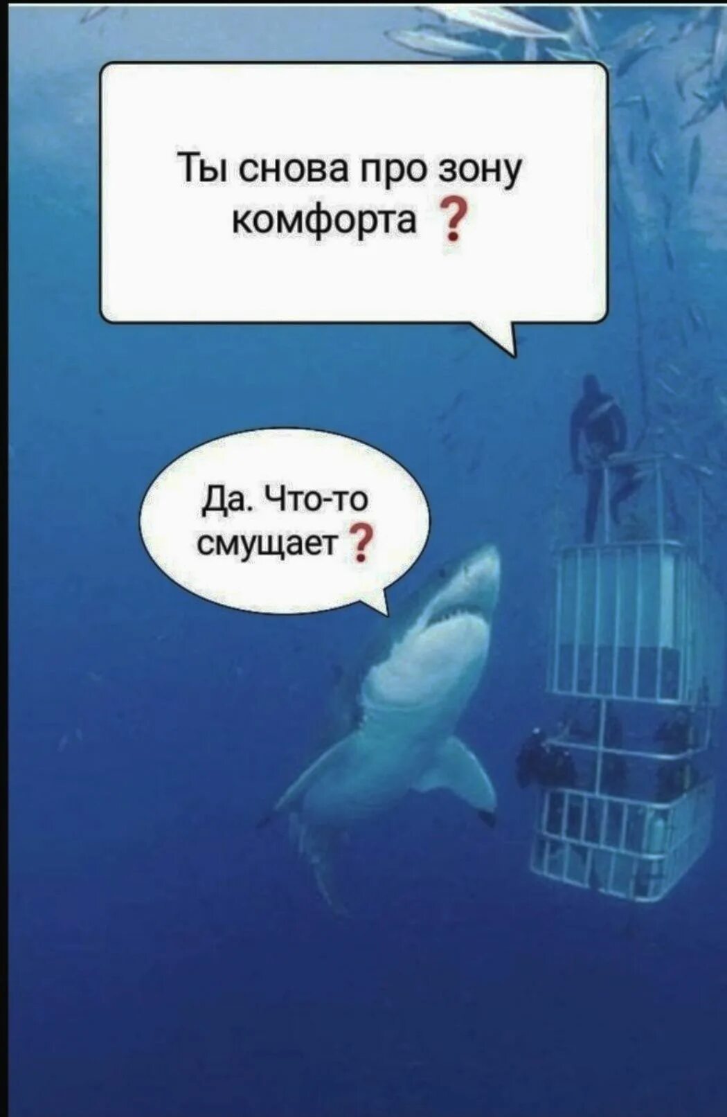 Рыбки в воде. Про зону комфорта. Про зону комфорта. Я выхожу из зоны комфорта. Как выйти из зоны комфорта.