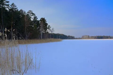 Озеро боровое ногинский