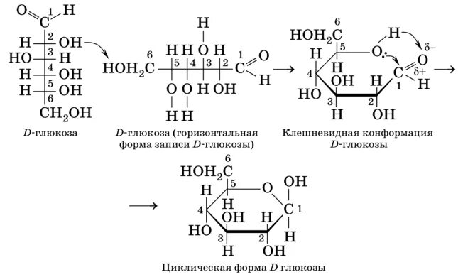 Клешневидная конформация моносахаридов. Глюкоза изомерия конформации. Циклическая форма Глюкозы. Образование циклической формы Глюкозы. Изомерия глюкозы