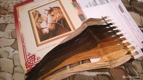 Анонимус выжига или золотое руно судьбы аудиокнига