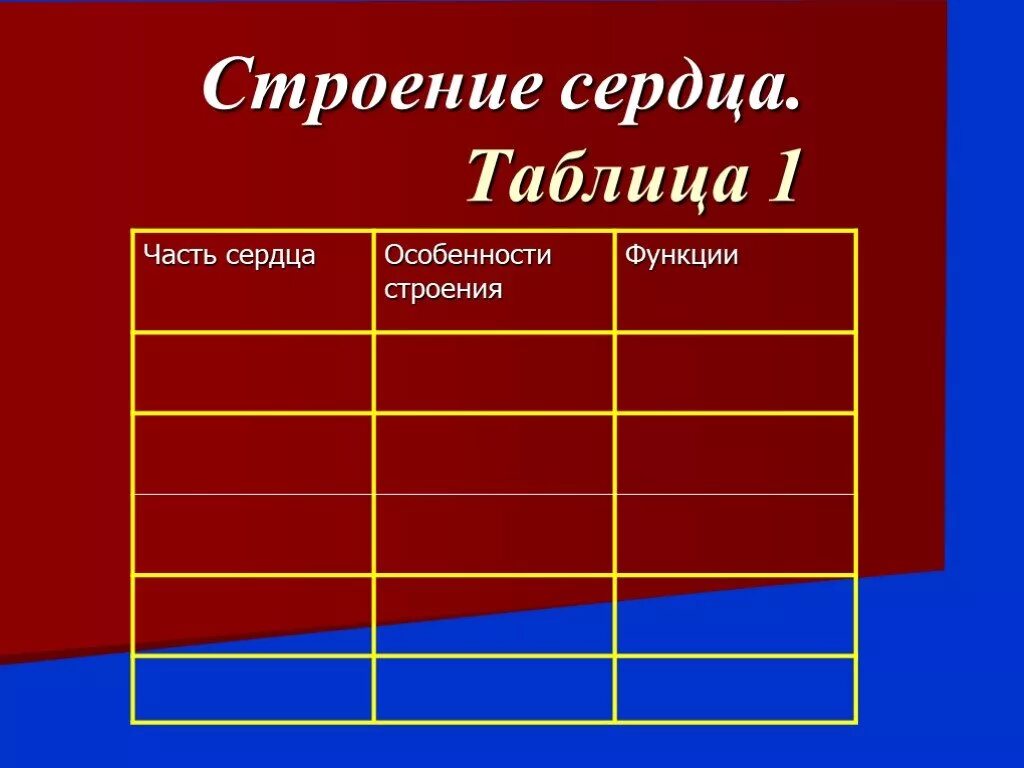 Сердечная строение и функции. Строение сердца таблица. Сердце строение и функции таблица. Строение сердца таблица анатомия. Таблица по биологии строение сердца.