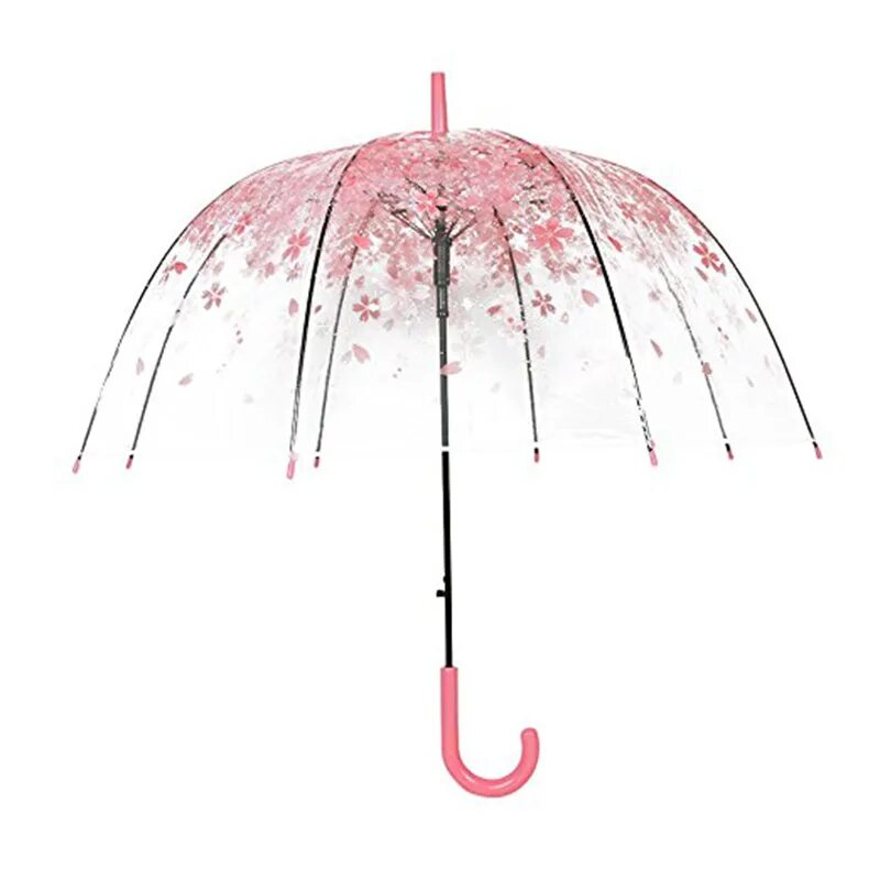 Зонт прозрачный. Зонт купол. Прозрачный зонт с сакурой. Зонт прозрачный купол. Зонтик mp3