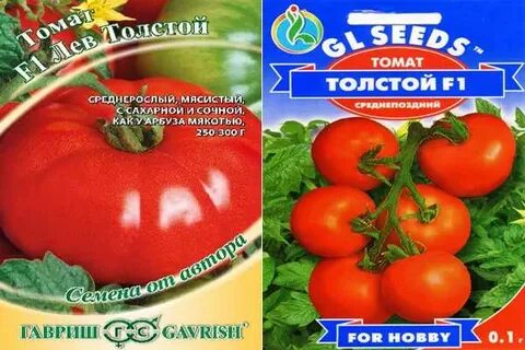 Характеристика томата толстой f1