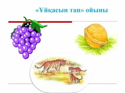 Тап где находится