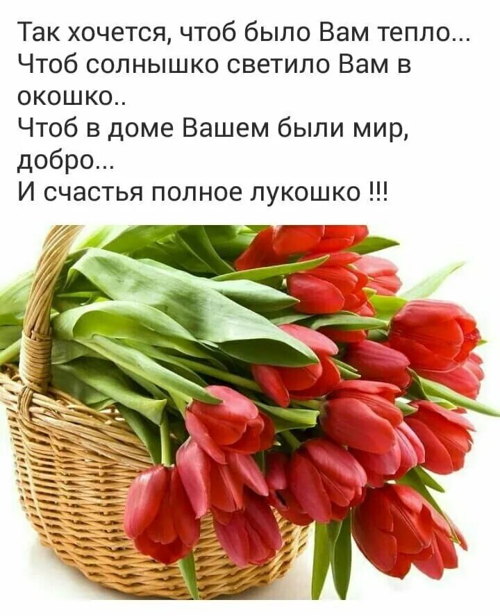 хочу тепла и солнца. так хочется чтоб было вам тепло. хочу тепла и солнца. тепло солнца. хочется тепла и солнца.