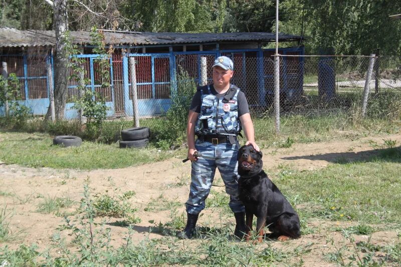 Кинолог в полиции зарплата. Орловские кинологи. кинологический центр орел. кинологическая служба орел мвд. орловский цкс.