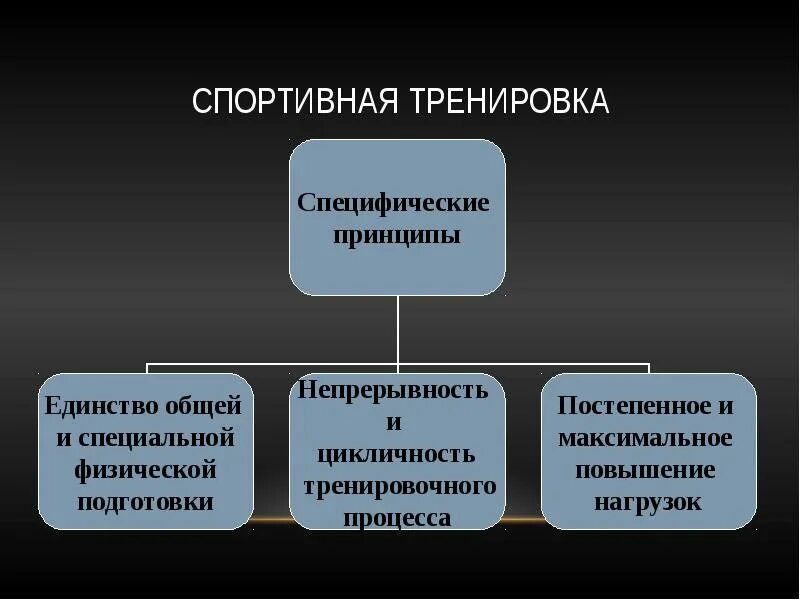 Основы спортивной тренировки. Основы спортивной тренировки презентация. Физиологические принципы спортивной тренировки. Основы и принципы спортивной тренировки. Принципы подготовки спортсмена