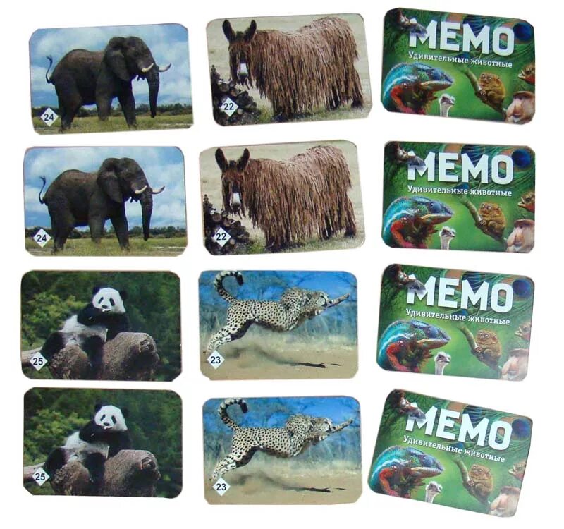 Карточки мемо. НПИ Мемо удивительные животные. НПИ Мемо удивительные животные 7207. Мемо удивительные животные 50 карточек. Мемо "удивительные животные" арт.7207 (50 карточек) /48.