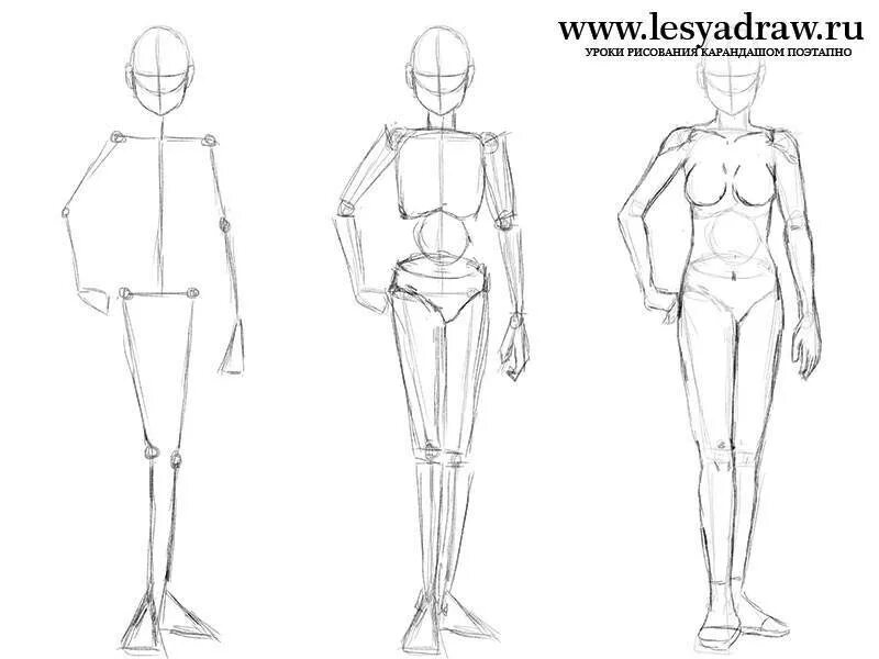 Тела карандашом поэтапно. Как нарисовать тело пошагово. Как рисовать туловище человека поэтапно. Фигура человека для рисования. Анатомия тела для рисования.