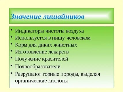 Особенности лишайников