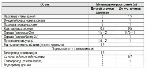 Норматив расстояний на участке