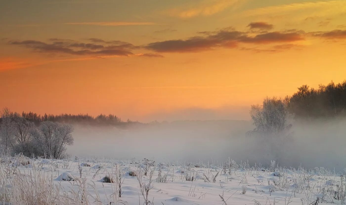 Словно пеленою. Снежная пелена. Пелена снега. Зимний рассвет. Морозная пелена.