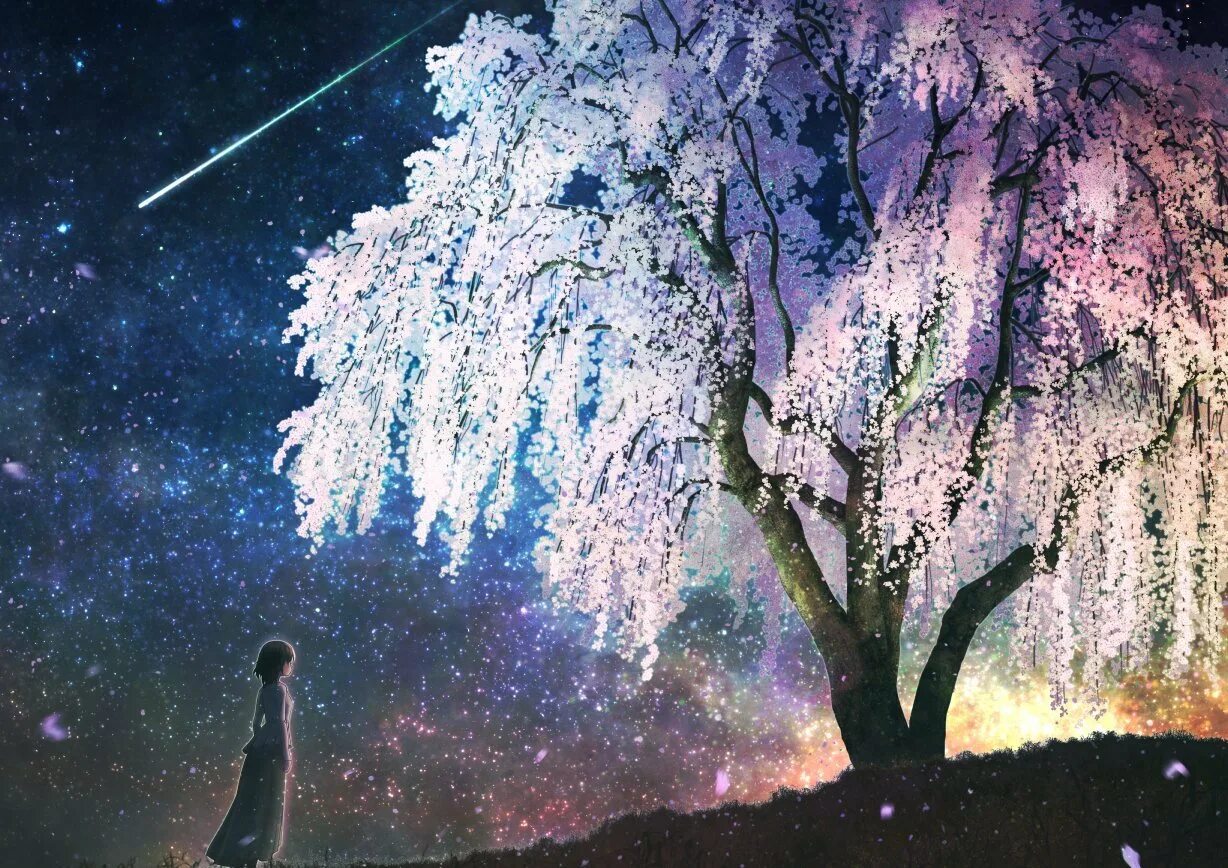 Сакура ночью. Звездное небо деревья. Дерево ночью. Космическое дерево. Сакура дерево.
