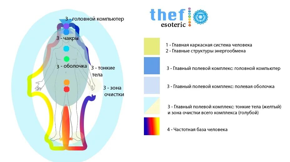 Тонкие тела человека и чакры. Структура тонких тел человека. Анатомия тонких тел человека. Полевая структура человека.