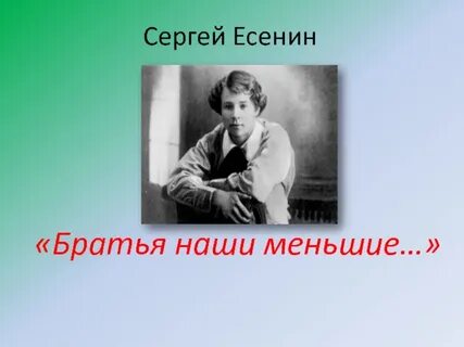Средний брат есенина