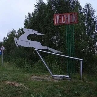 Лесной рязанская область шиловский