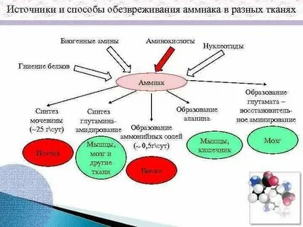 Нейтрализатор аммиака