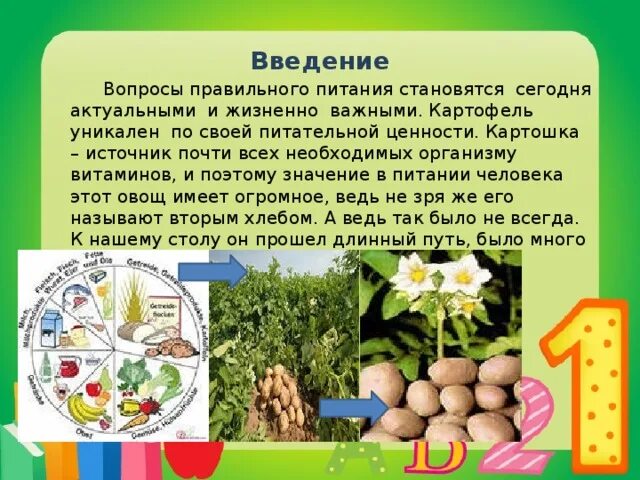 Картофель второй хлеб проект 4 класс Исследовательская работа: " Картофель второй хлеб"