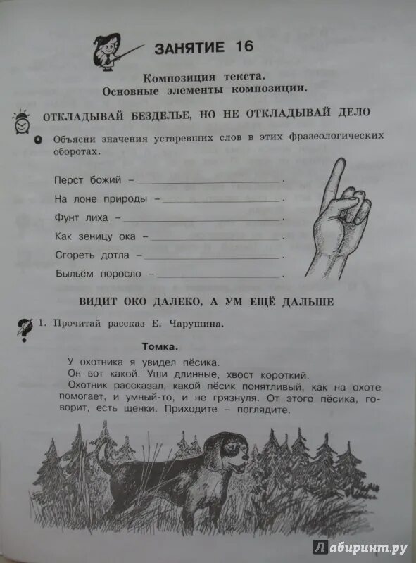 Тетрадь по развитию речи 4 класс. Школа развития речи 4 класс соколова ответы 2 часть решебник ответы. 4 класс школа развития речи рабочая тетрадь часть 2 соколова. школа развития речи 4 класс соколова рабочая тетрадь ответы 1 часть. школа развития речи 3 класс соколова рабочая тетрадь ответы 1 часть.