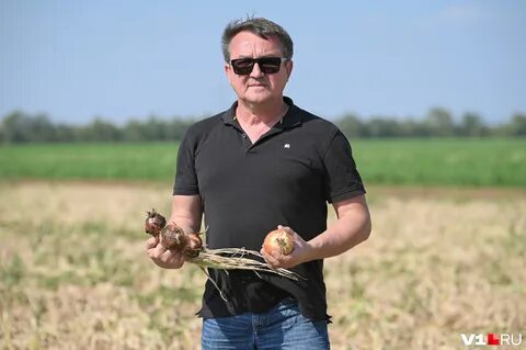 Фермерском волгоград