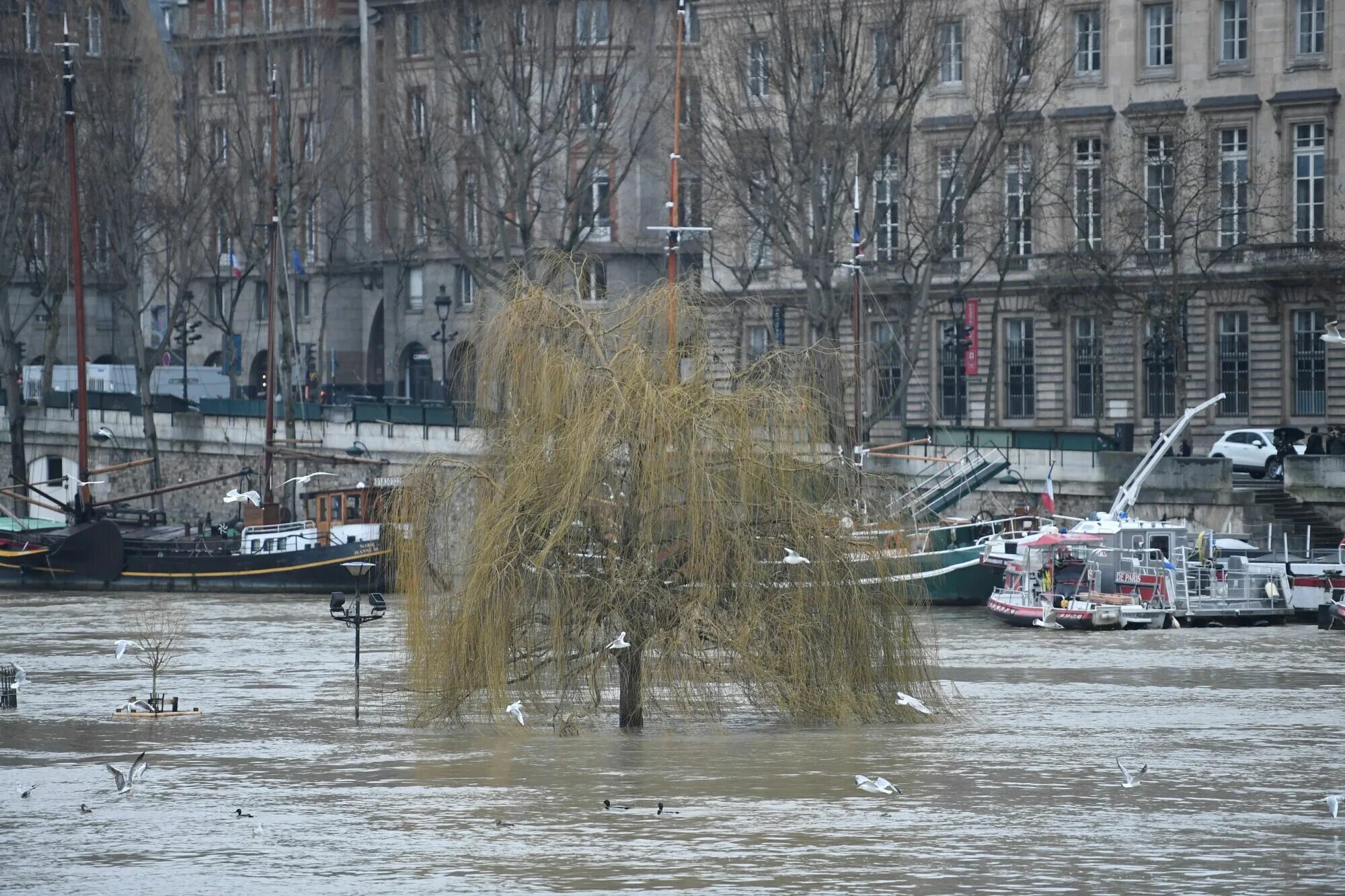 Город долгих дождей. Потоп во Франции 1910. Наводнение в Париже 1910. Потоп в Париже. Париж наводнение 2018 г.