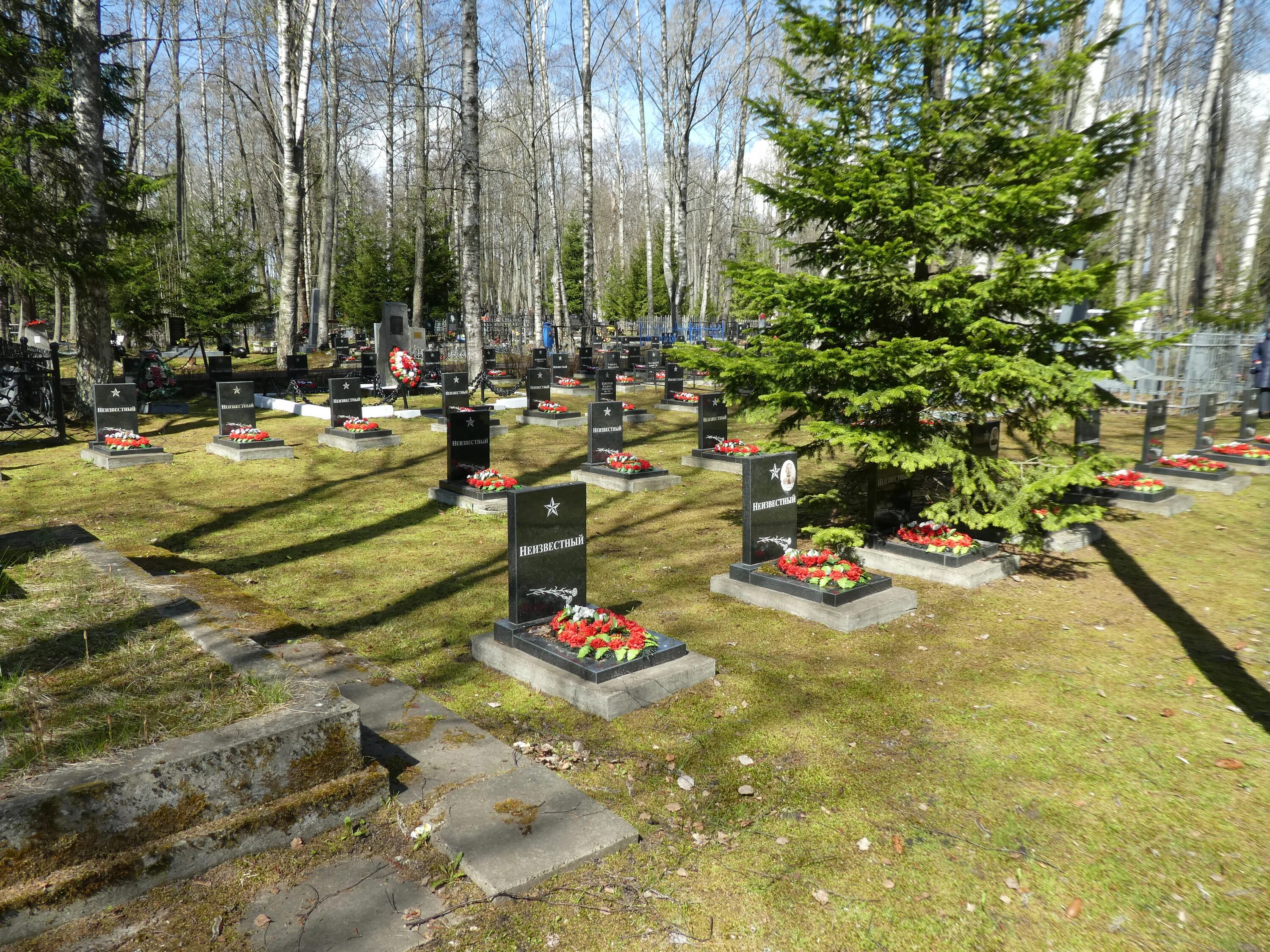 Федеральное военное мемориальное кладбище кладбище в мытищах. Мемориальный комплекс в мытищах. Кладбище русских военных. Преображенское кладбище воинские захоронения. Южное мемориальное кладбище томск.