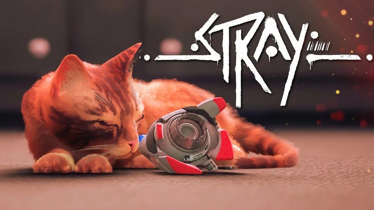 Stray игра финал. Маленький аутсайдер Stray. Stray аутсайдер кот. Финал котик Stray. Концовка стрей